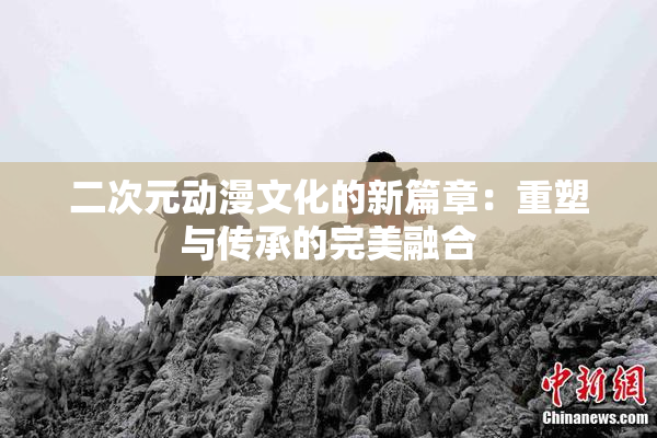 二次元动漫文化的新篇章：重塑与传承的完美融合