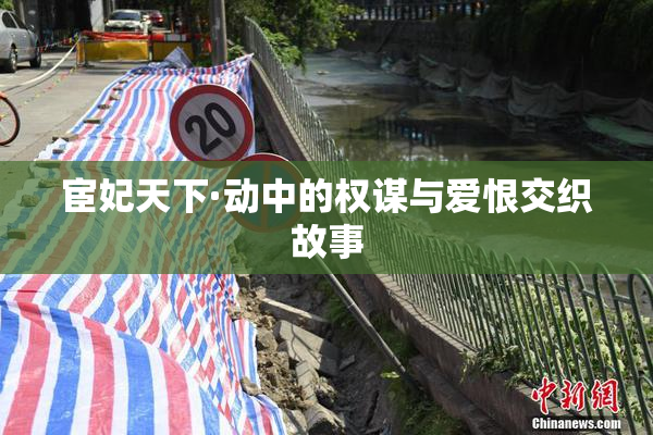 宦妃天下·动中的权谋与爱恨交织故事