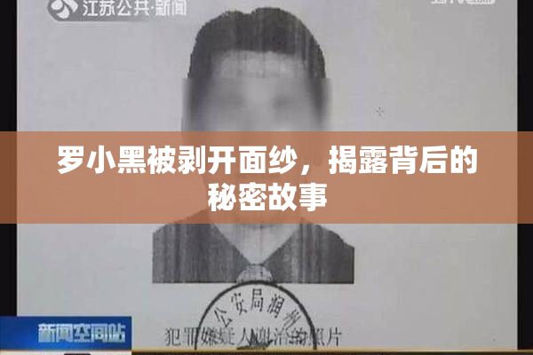 罗小黑被剥开面纱，揭露背后的秘密故事
