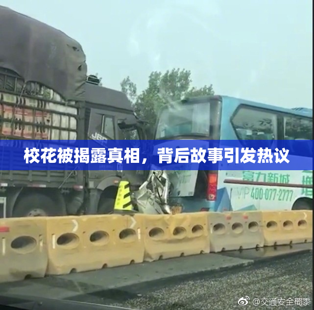 校花被揭露真相，背后故事引发热议
