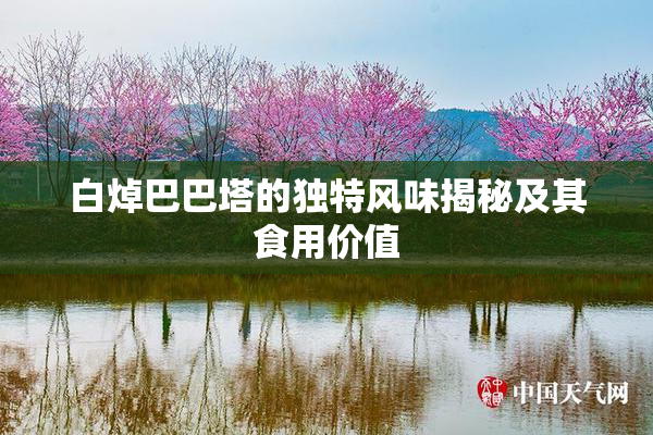 白焯巴巴塔的独特风味揭秘及其食用价值