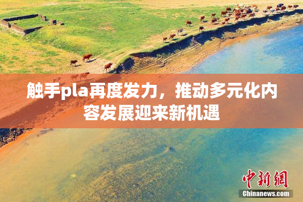 触手pla再度发力，推动多元化内容发展迎来新机遇