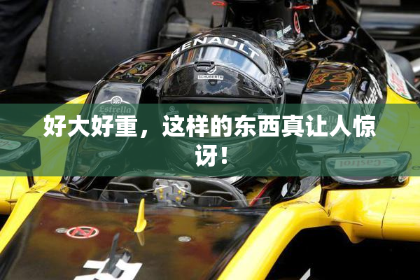 好大好重，这样的东西真让人惊讶！