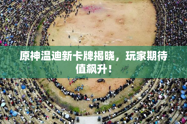 原神温迪新卡牌揭晓，玩家期待值飙升！