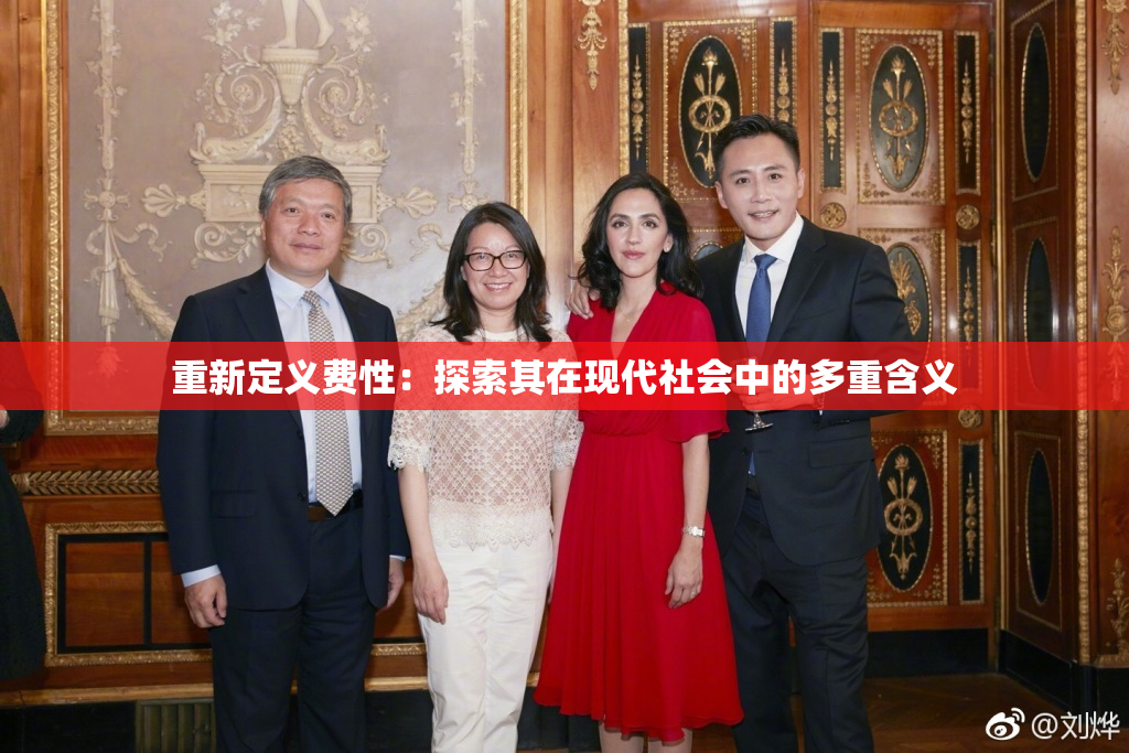 重新定义费性：探索其在现代社会中的多重含义
