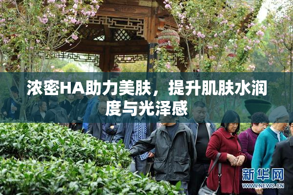 浓密HA助力美肤，提升肌肤水润度与光泽感