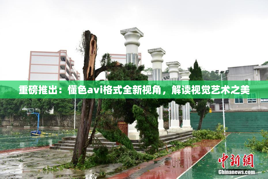 重磅推出：懂色avi格式全新视角，解读视觉艺术之美