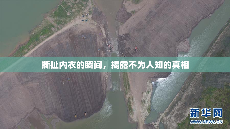 撕扯内衣的瞬间，揭露不为人知的真相