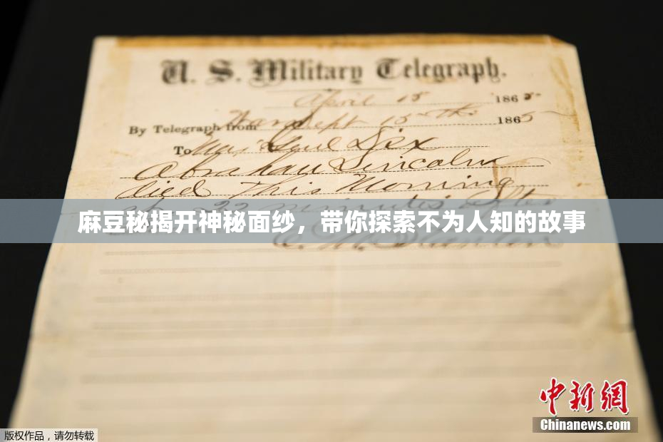 麻豆秘揭开神秘面纱，带你探索不为人知的故事