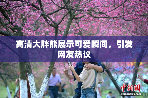 高清大胖熊展示可爱瞬间，引发网友热议