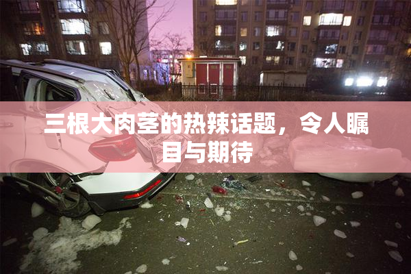三根大肉茎的热辣话题，令人瞩目与期待