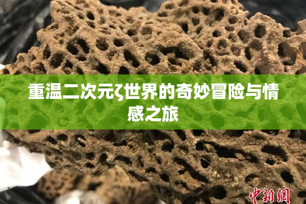 重温二次元ζ世界的奇妙冒险与情感之旅