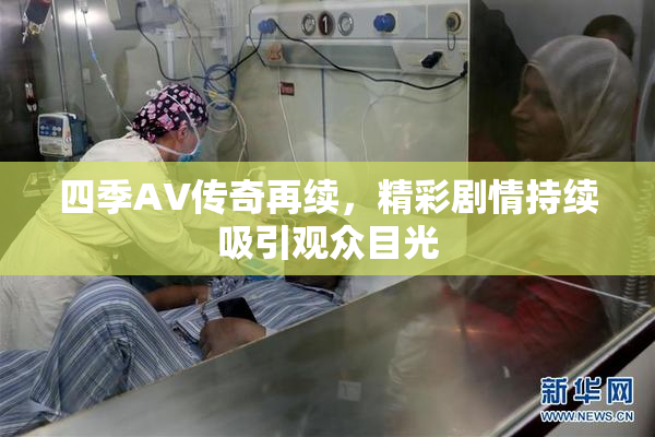 四季AV传奇再续，精彩剧情持续吸引观众目光