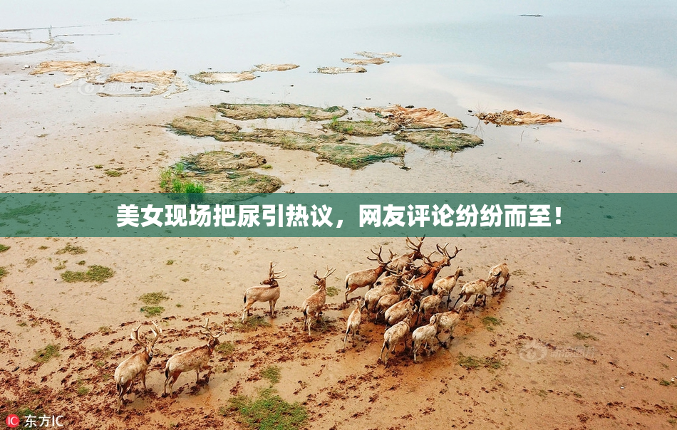美女现场把尿引热议，网友评论纷纷而至！