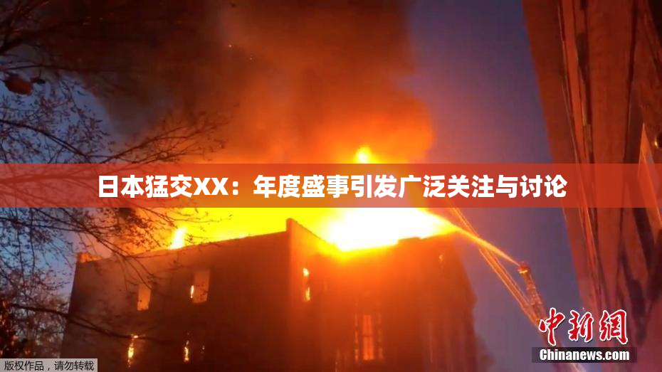 日本猛交XX：年度盛事引发广泛关注与讨论