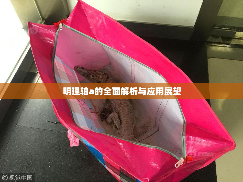 明理轴a的全面解析与应用展望
