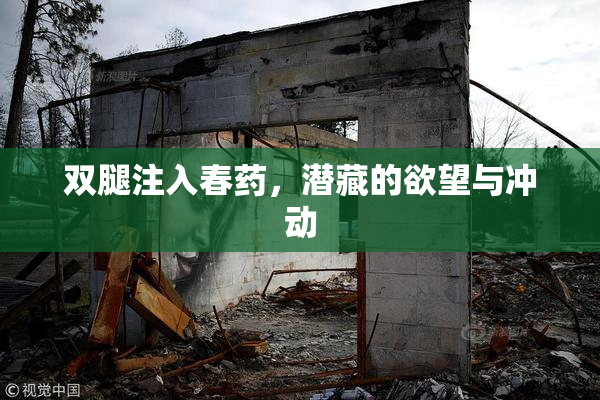 双腿注入春药，潜藏的欲望与冲动