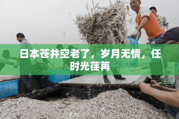 日本苍井空老了，岁月无情，任时光荏苒