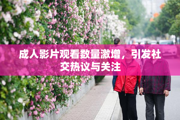 成人影片观看数量激增，引发社交热议与关注