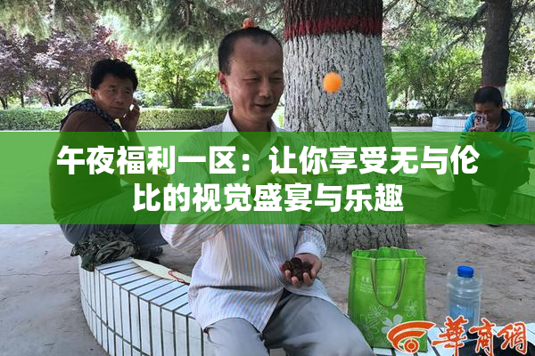 午夜福利一区：让你享受无与伦比的视觉盛宴与乐趣