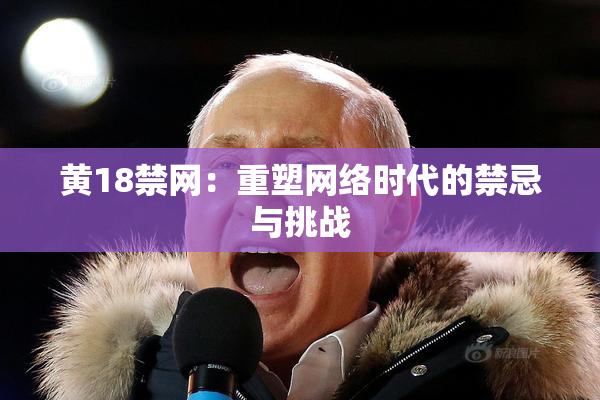 黄18禁网：重塑网络时代的禁忌与挑战