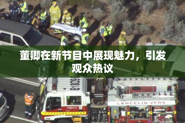 董卿在新节目中展现魅力，引发观众热议