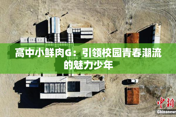 高中小鲜肉G：引领校园青春潮流的魅力少年