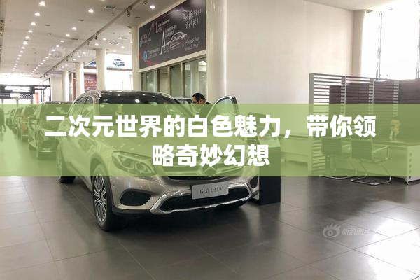 二次元世界的白色魅力，带你领略奇妙幻想