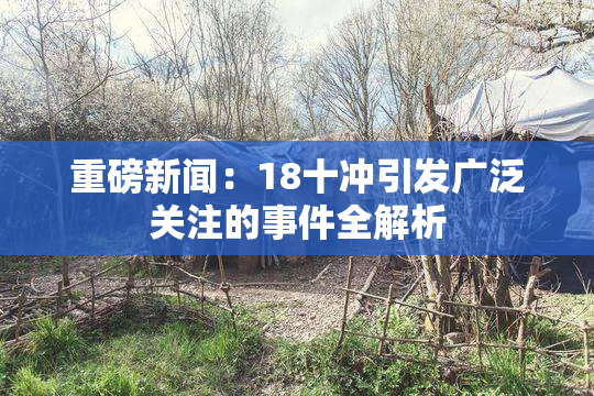 重磅新闻：18十冲引发广泛关注的事件全解析
