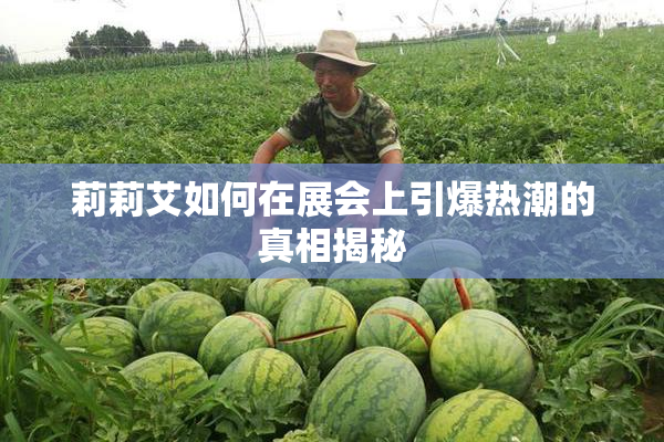 莉莉艾如何在展会上引爆热潮的真相揭秘