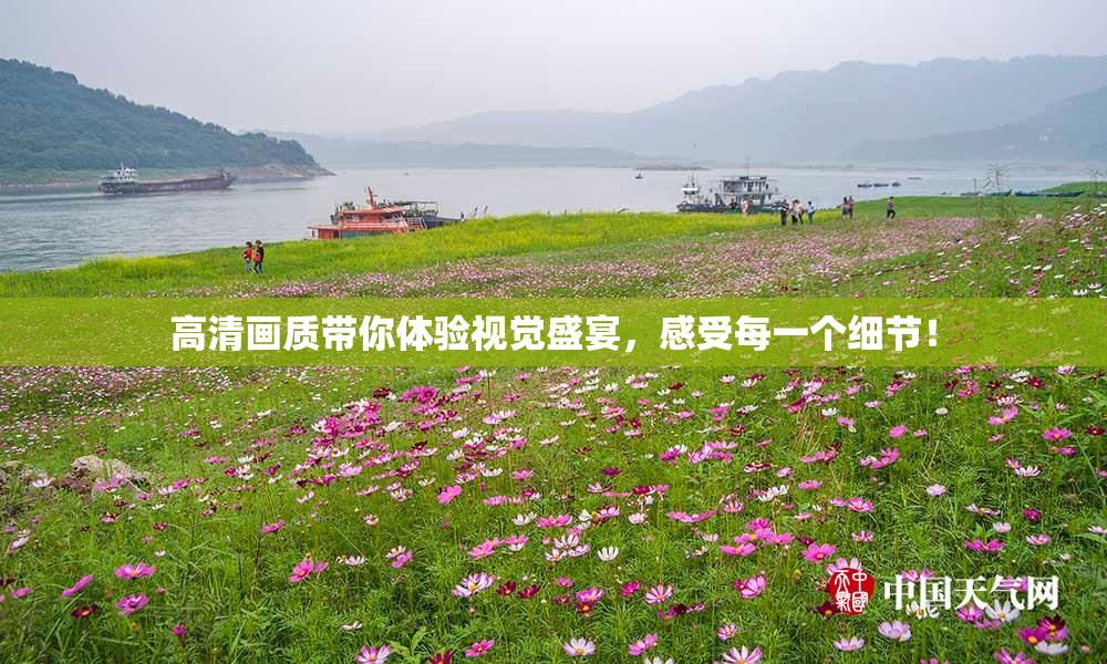 高清画质带你体验视觉盛宴，感受每一个细节！