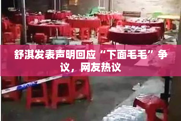 舒淇发表声明回应“下面毛毛”争议，网友热议