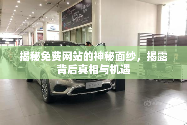 揭秘免费网站的神秘面纱，揭露背后真相与机遇