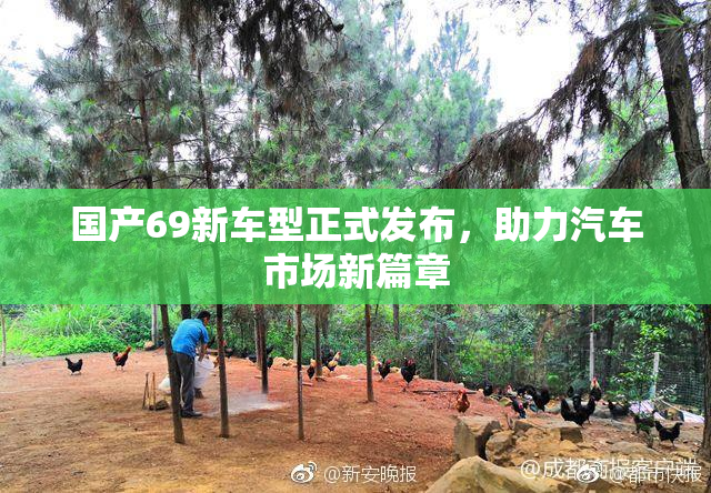 国产69新车型正式发布，助力汽车市场新篇章