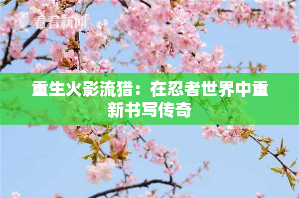 重生火影流猎：在忍者世界中重新书写传奇