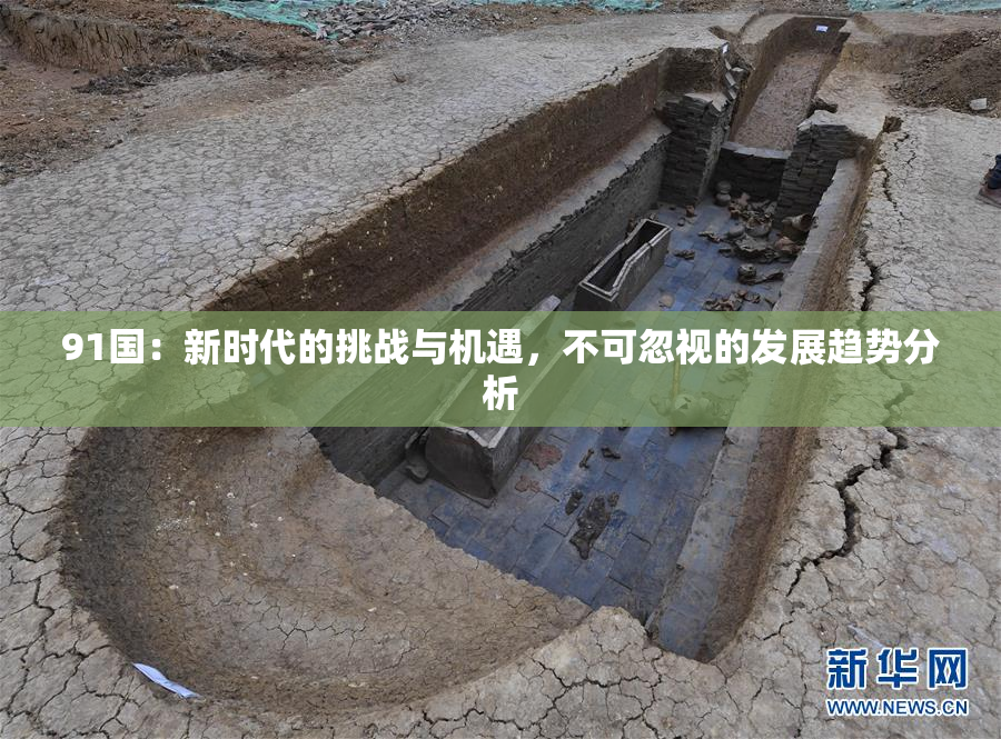 91国：新时代的挑战与机遇，不可忽视的发展趋势分析