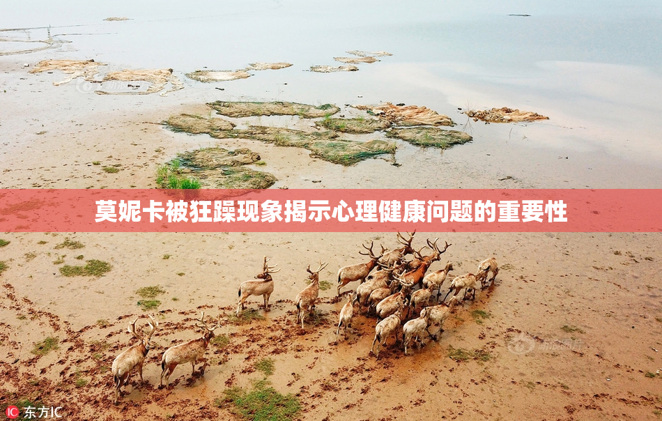 莫妮卡被狂躁现象揭示心理健康问题的重要性