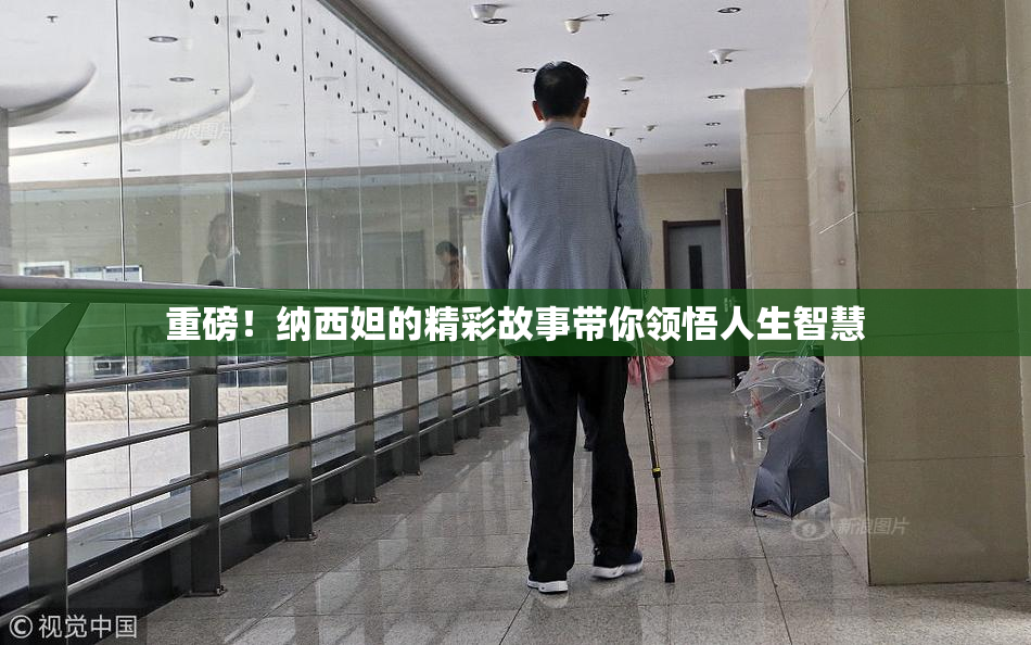 重磅！纳西妲的精彩故事带你领悟人生智慧