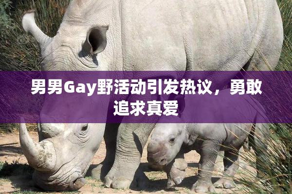 男男Gay野活动引发热议，勇敢追求真爱