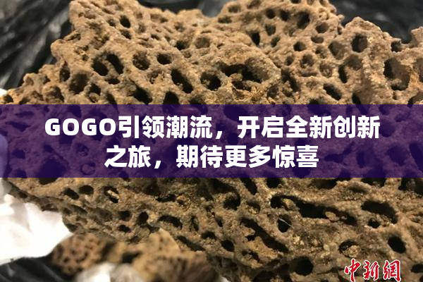 GOGO引领潮流，开启全新创新之旅，期待更多惊喜