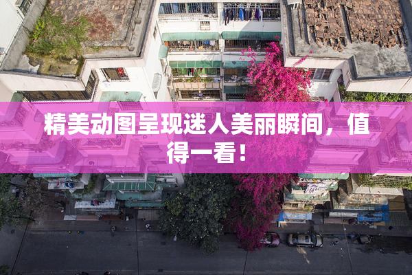 精美动图呈现迷人美丽瞬间，值得一看！