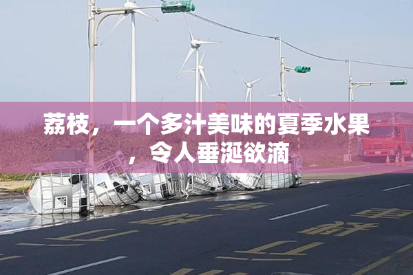 荔枝，一个多汁美味的夏季水果，令人垂涎欲滴