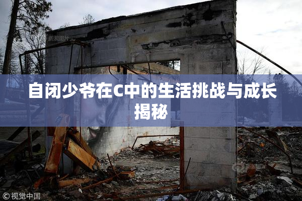 自闭少爷在C中的生活挑战与成长揭秘