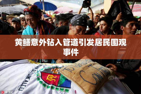 黄鳝意外钻入管道引发居民围观事件