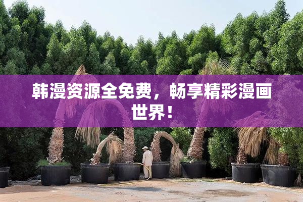 韩漫资源全免费，畅享精彩漫画世界！