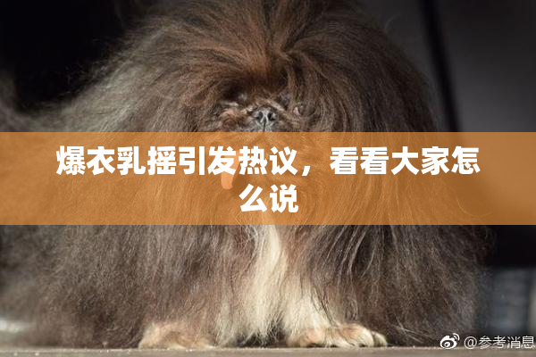 爆衣乳摇引发热议，看看大家怎么说