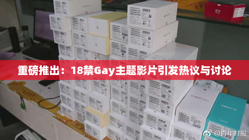 重磅推出：18禁Gay主题影片引发热议与讨论