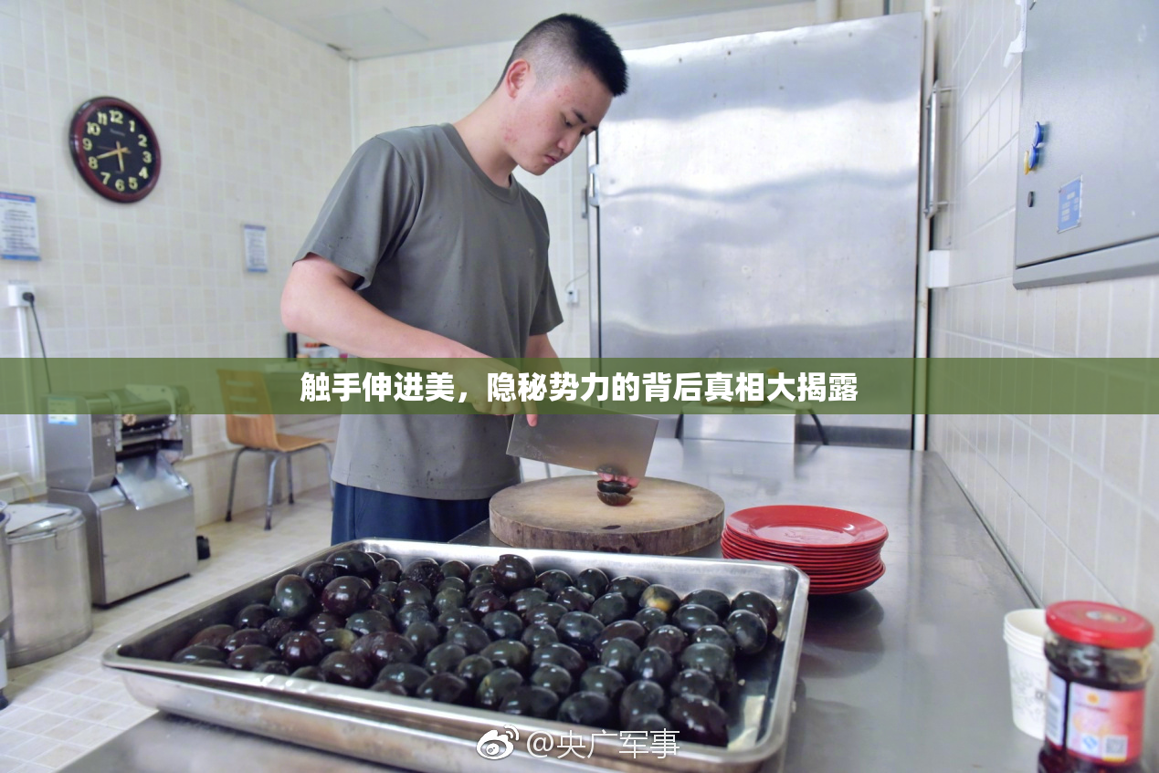 触手伸进美，隐秘势力的背后真相大揭露
