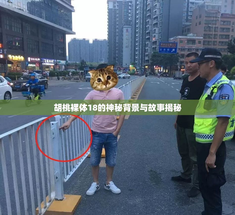 胡桃裸体18的神秘背景与故事揭秘