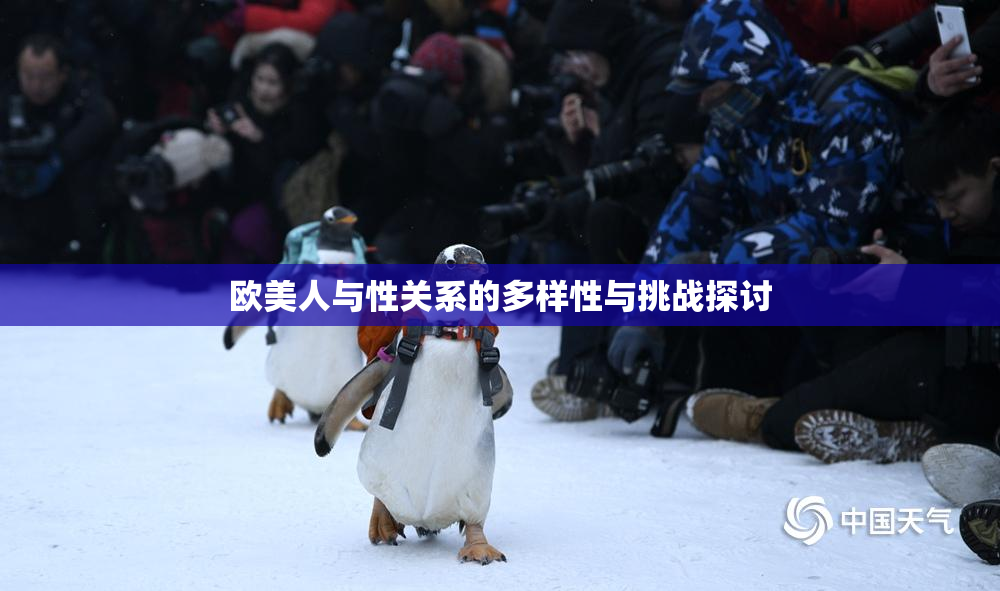 欧美人与性关系的多样性与挑战探讨